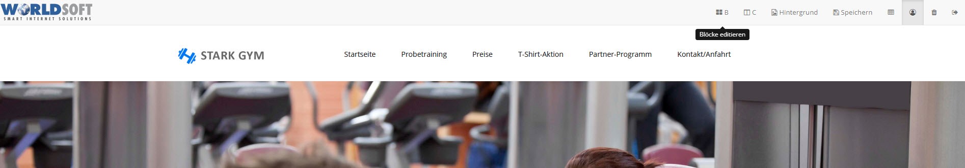 Worldsoft CMS